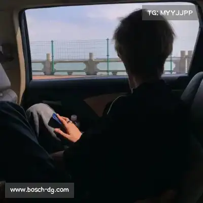 段凡妙